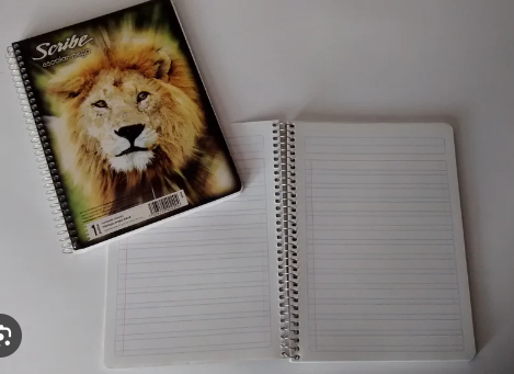 2x1 en Cuadernos Profesionales, Italianos y francés Estrella y Scribe